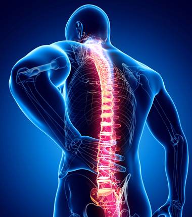 Spinal cord injury